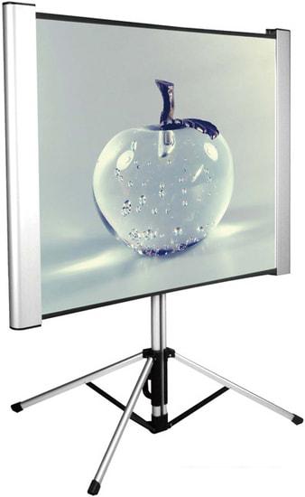 Проекционный экран CACTUS TriAlExpert 102x180 CS-PSTALE-180X102- фото