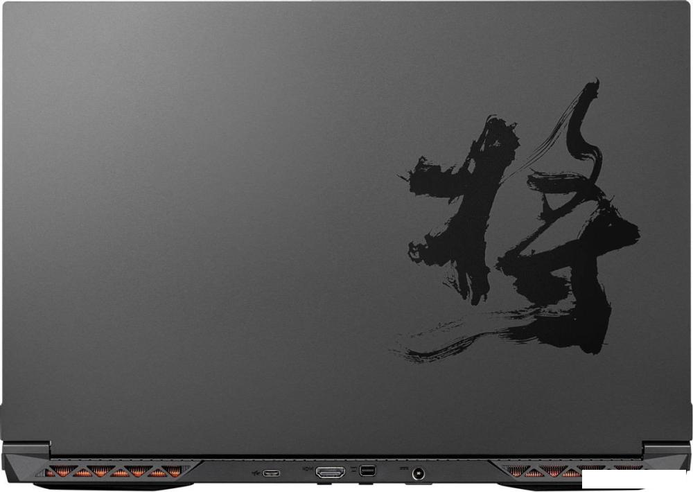 Игровой ноутбук Colorful Evol X17 AT 23 A10003400458- фото4