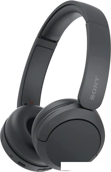 Наушники Sony WH-CH520 (черный)- фото