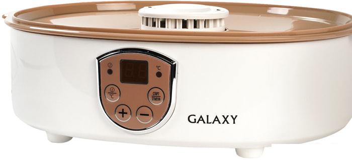 Сушилка для овощей и фруктов Galaxy GL2637- фото4