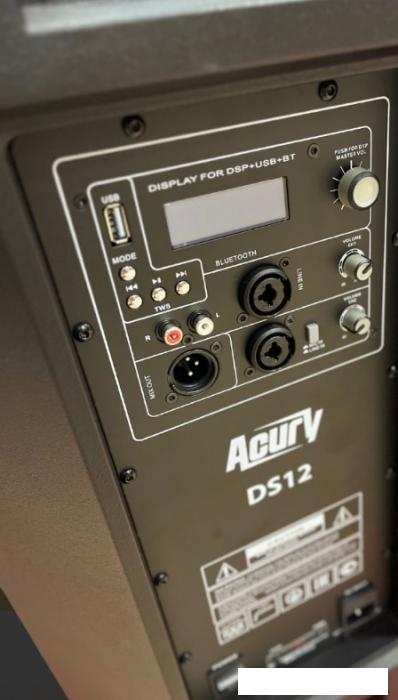 Активная акустика Acury DS12- фото2