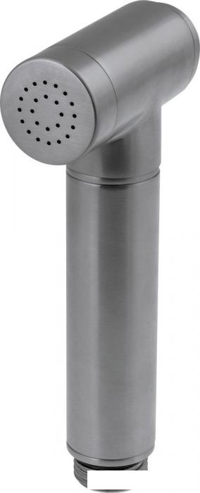 Душевая лейка Deante Bidetta Titanium XDCA7STA1