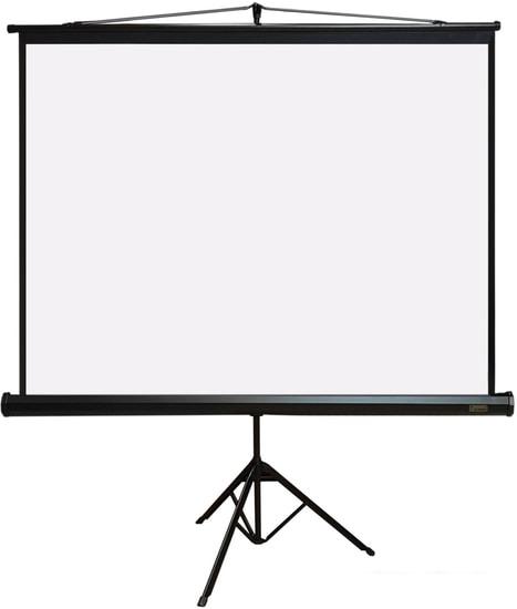 Проекционный экран PL Magna TRM-NTSC-100D- фото