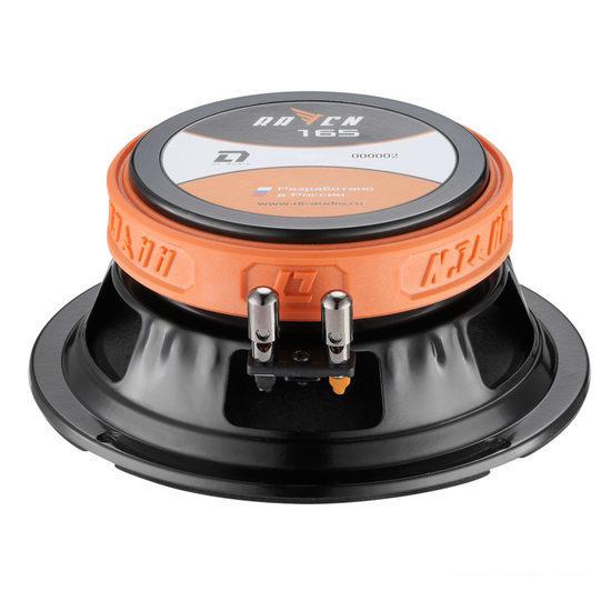 Среднечастотная АС DL Audio Raven 165- фото2