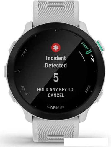 Умные часы Garmin Forerunner 55 (белый)- фото4