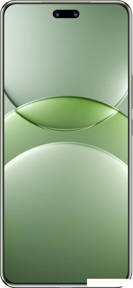 Смартфон Huawei nova 13 Pro MIS-LX9 12GB/512GB (дымчатый зеленый)- фото2