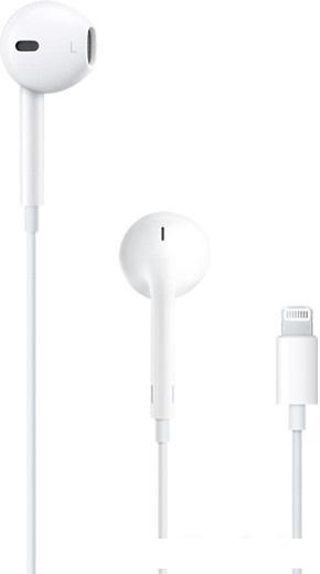 Наушники с микрофоном Apple EarPods с разъёмом Lightning [MMTN2ZM/A]- фото