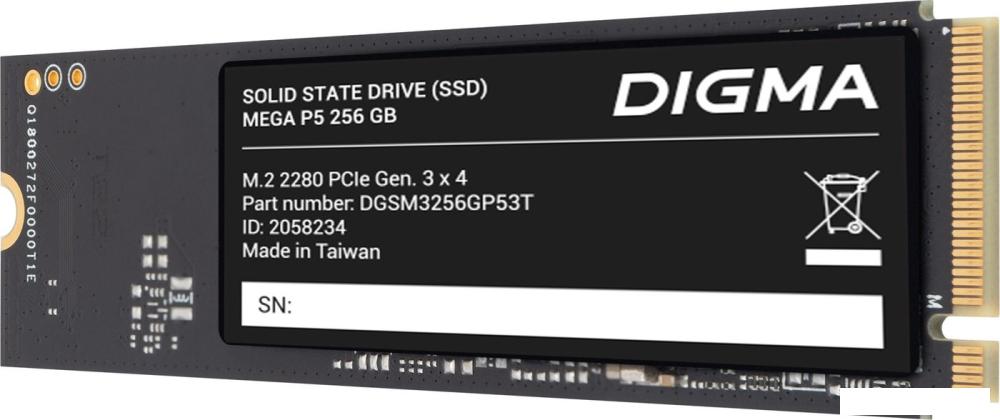 SSD Digma Mega P5 256GB DGSM3256GP53T- фото4
