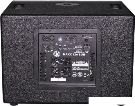 Активный сабвуфер Topp Pro TP MAXX12ASUB- фото3