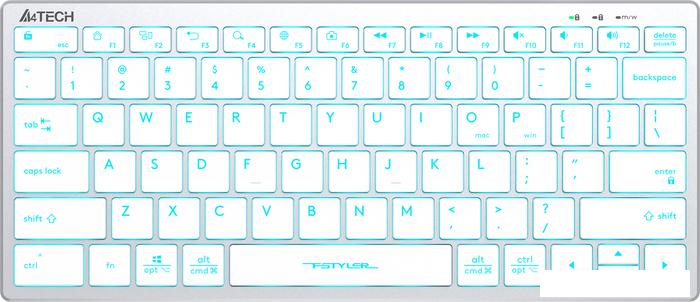 Клавиатура A4Tech Fstyler FX61 (серебристый/белый)- фото
