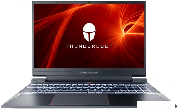 Игровой ноутбук Thunderobot 911 X Wild Hunter G2L JT009500ERU- фото2