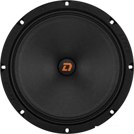 Среднечастотная АС DL Audio Raven 200- фото2