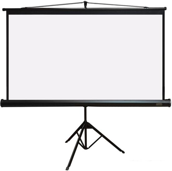 Проекционный экран PL Magna TRM-PC-113D- фото