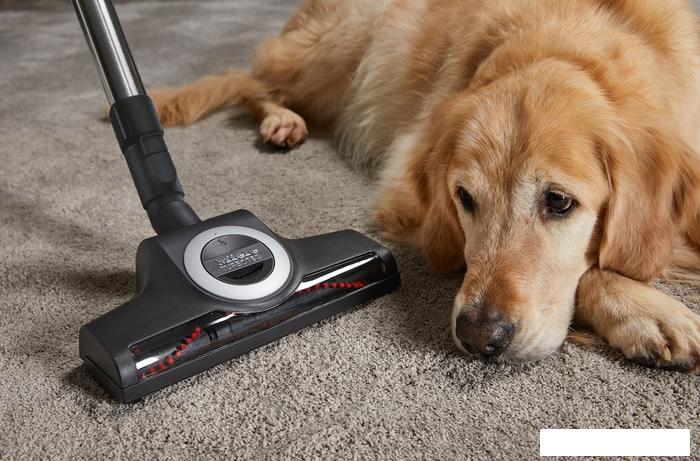 Пылесос Miele Complete C3 Cat & Dog Flex SGEF5 (оранжевый)- фото3