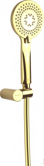 Душевой гарнитур  Deante Arnika Gold NQA Z41K