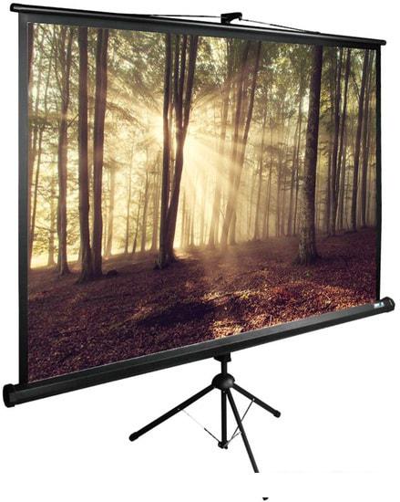 Проекционный экран CACTUS TriExpert 135x180 CS-PSTE-180X135-BK- фото