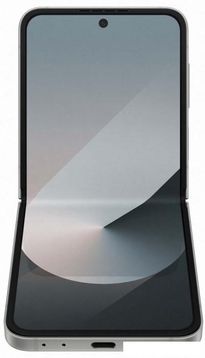 Смартфон Samsung Galaxy Z Flip6 SM-F741B 12GB/256GB (серый)- фото4