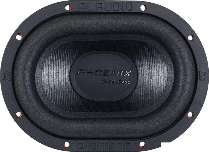 Головка сабвуфера DL Audio Phoenix Black Bass 69- фото2