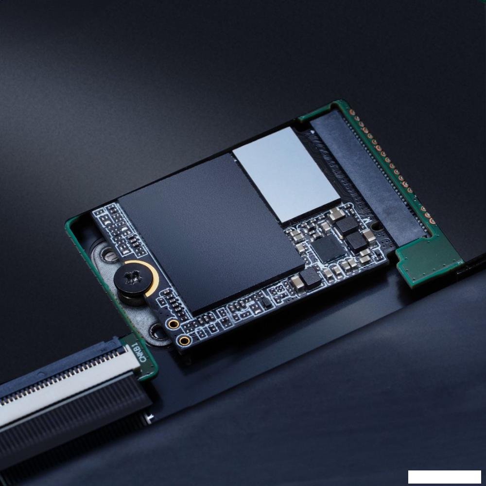 SSD ADATA XPG Gammix S55 1TB SGAMMIXS55-1T-C- фото3