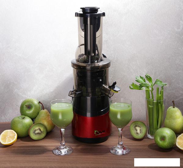 Соковыжималка VLK Profi 3500- фото3