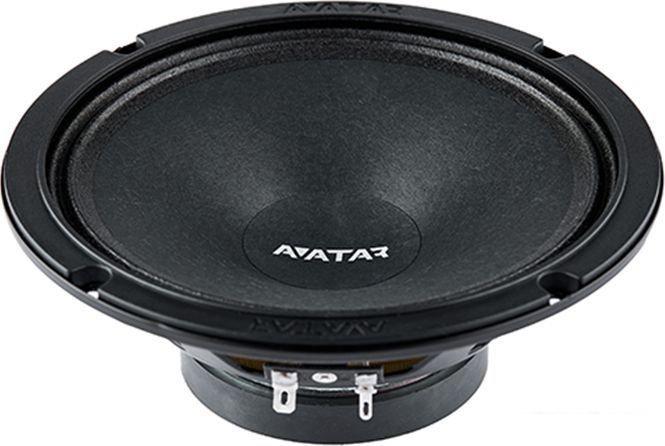 Среднечастотная АС Avatar MBR-61- фото2