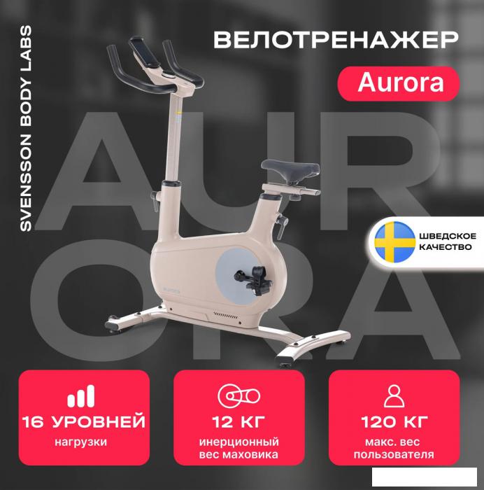 Велотренажер Svensson Body Labs Aurora- фото2
