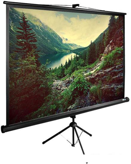 Проекционный экран CACTUS TriExpert 220x220 CS-PSTE-220X220-BK- фото