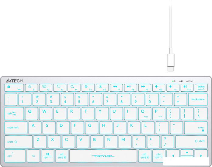 Клавиатура A4Tech Fstyler FX61 (серебристый/белый)- фото2