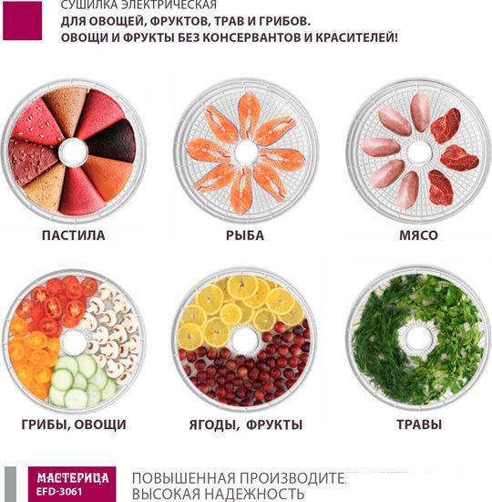 Сушилка для овощей и фруктов Мастерица EFD-3061 (зеленый перламутр)- фото3