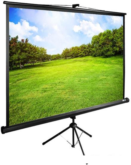 Проекционный экран CACTUS TriExpert 150x200 CS-PSTE-200X150-BK- фото