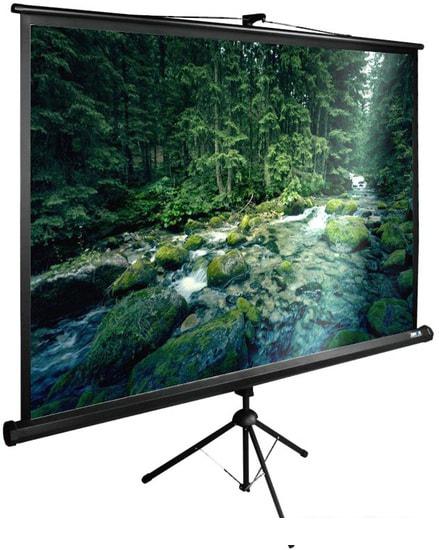 Проекционный экран CACTUS TriExpert 165x220 CS-PSTE-220X165-BK- фото