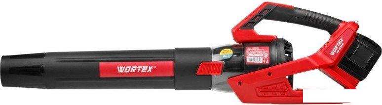 Ручная воздуходувка Wortex BB 2536 D ALL1 1333405 (с 2-мя АКБ)- фото2