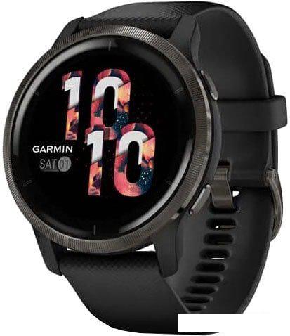 Умные часы Garmin Venu 2 (сланцевая нержавеющая сталь/черный)