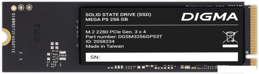 SSD Digma Mega P5 256GB DGSM3256GP53T- фото