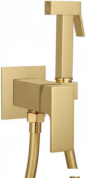 Гигиенический душ Roxen Caspia 50096000-GB