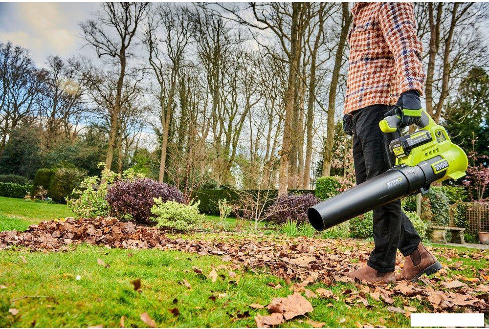 Ручная воздуходувка Ryobi RY36BLA-0 5133004576 (без АКБ)- фото4