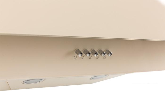 Кухонная вытяжка Oasis NS-60I (FR)- фото4