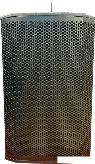 Активная акустика Acury DS15W- фото