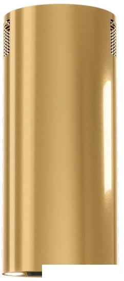 Кухонная вытяжка Konigin Beauty 31 (золотистый)- фото2