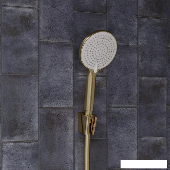 Душевая лейка IDDIS Optima Home OPH3FMGi18- фото4
