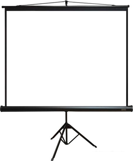 Проекционный экран PL Magna TRM-NTSC-120D- фото