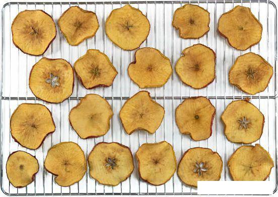 Сушилка для овощей и фруктов Status Fruit Veget Dehydrator 30 л- фото3