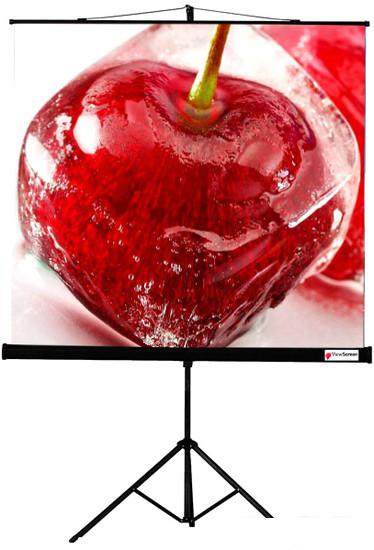 Проекционный экран ViewScreen Clamp 160x160