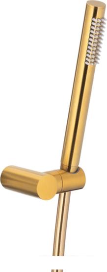 Душевой гарнитур  Armatura Moza Premium 841-225-31- фото