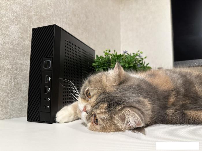 Компактный компьютер Jet Office 5i347D16SD2VGAM1W1- фото4