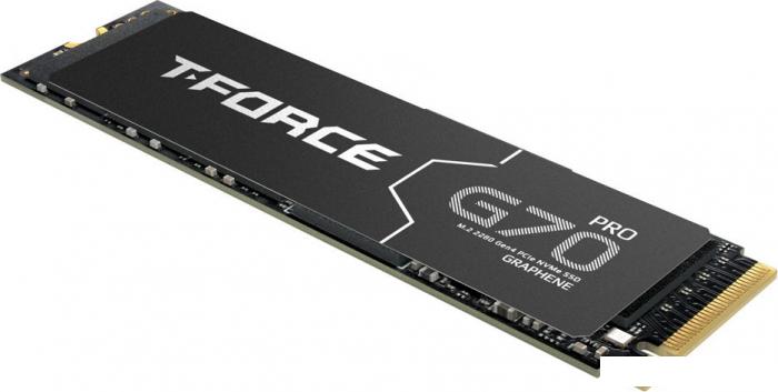 SSD Team T-Force G70 Pro 1TB TM8FFH001T0C129- фото4