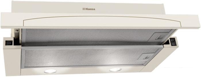 Кухонная вытяжка Hansa OTP6242RIH- фото