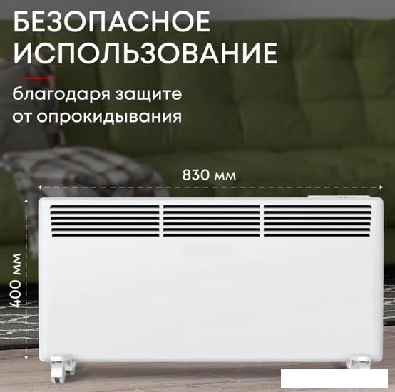 Конвектор Zeder 20EX-01- фото2
