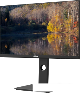 Монитор Dahua DHI-LM24-P301A- фото2