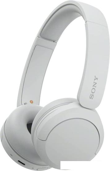 Наушники Sony WH-CH520 (белый)- фото